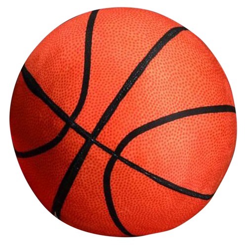 Novelty cushion basket ball - ,